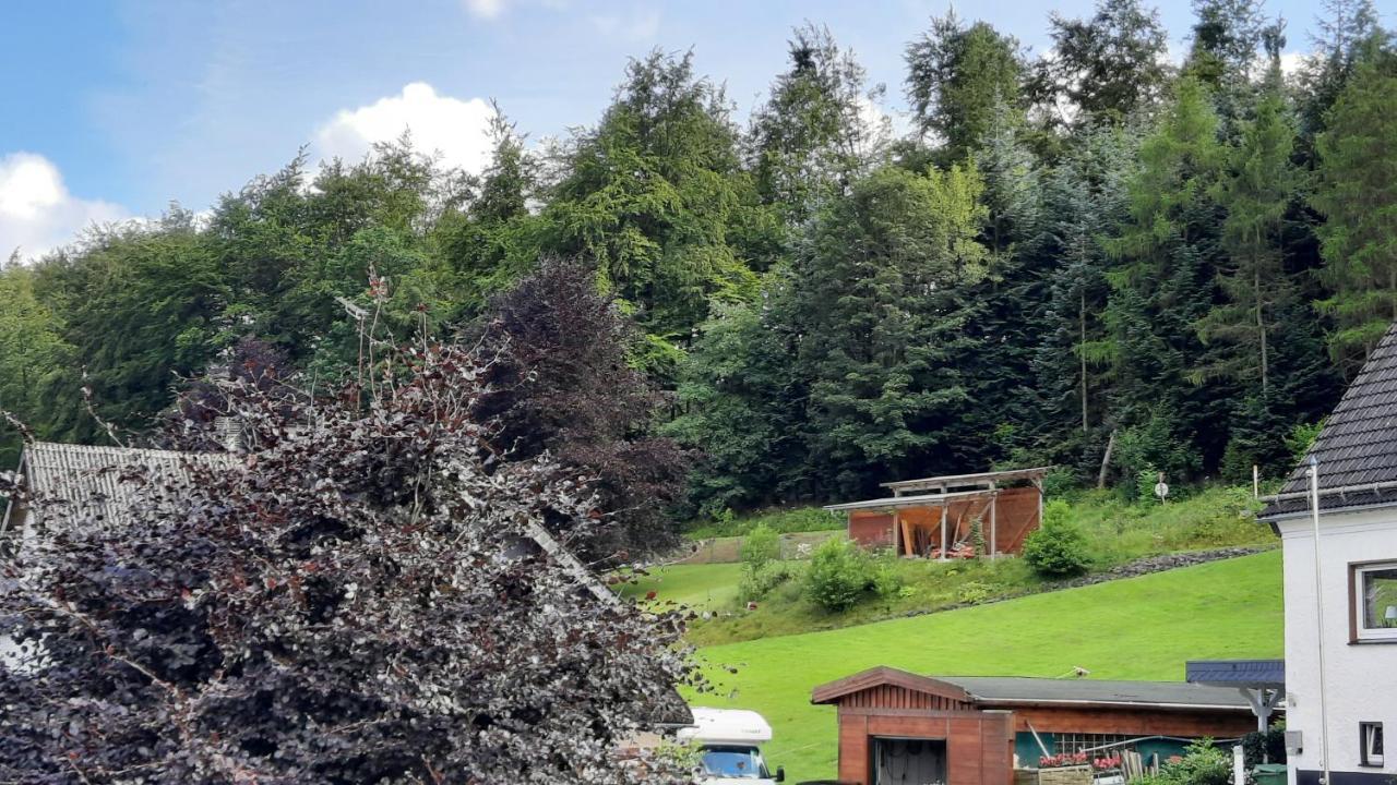 Yalet Ferienhaus 2 Appartementen Vlakbij Willingen Brilon-Wald Zewnętrze zdjęcie