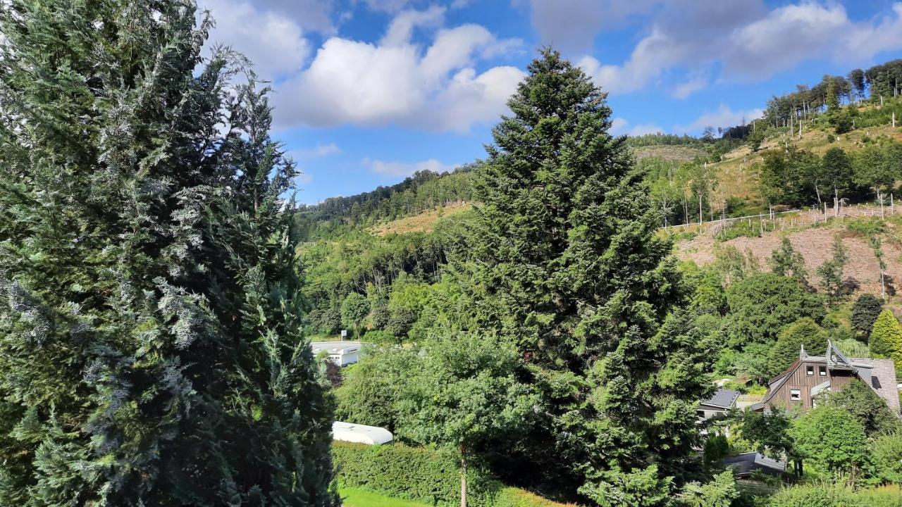 Yalet Ferienhaus 2 Appartementen Vlakbij Willingen Brilon-Wald Zewnętrze zdjęcie